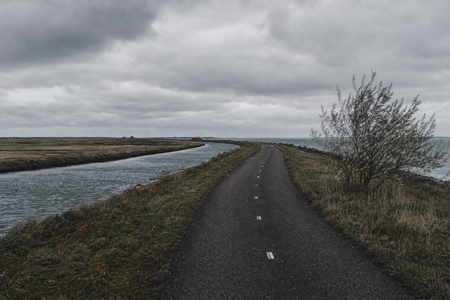 Fahrradweg entlang eines norddeutschen Deichs